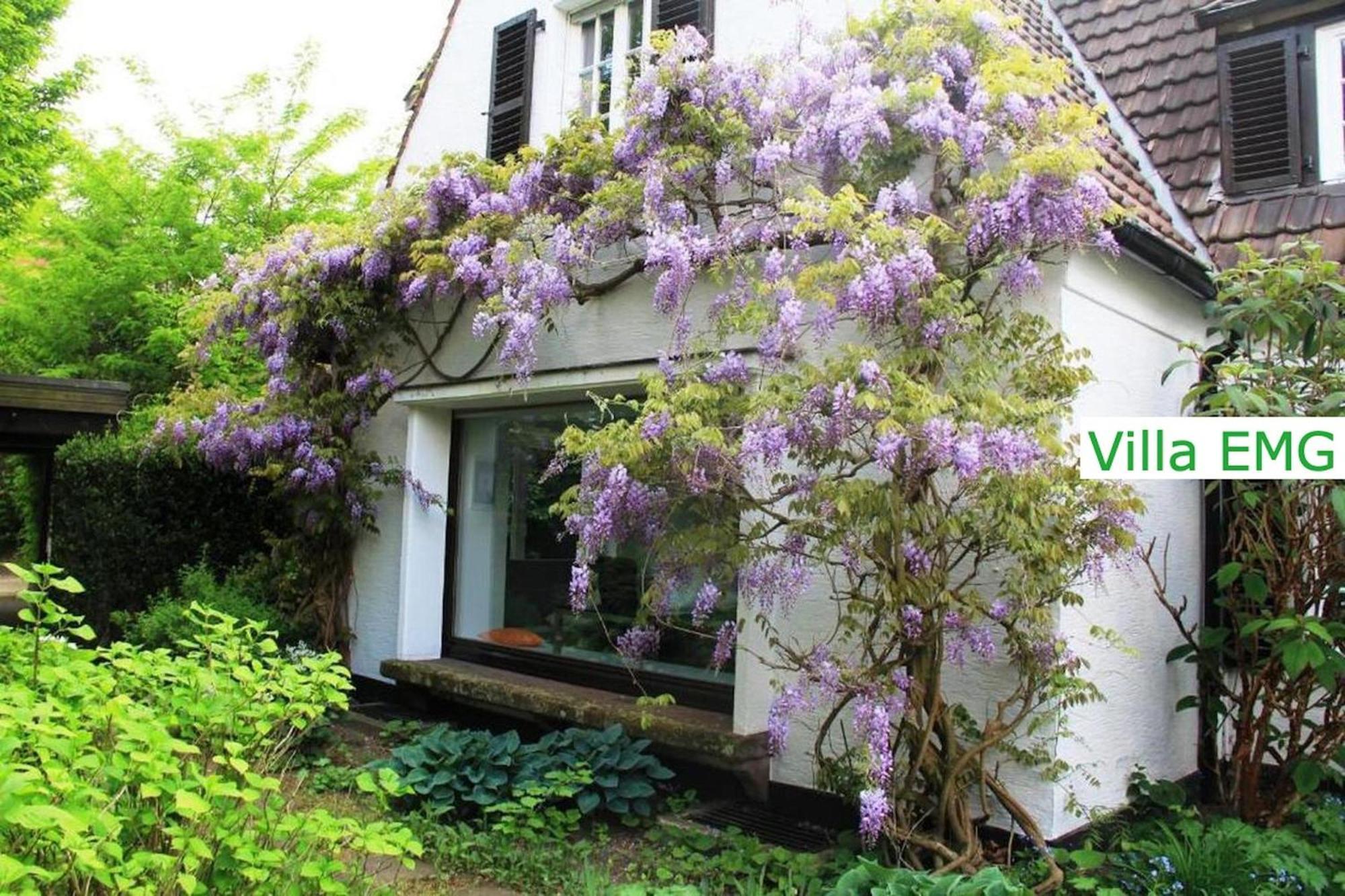 Luxury Family Holidays Villa In Emsdetten Munster Exterior photo